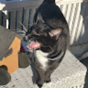 Meet your Posher, Ana